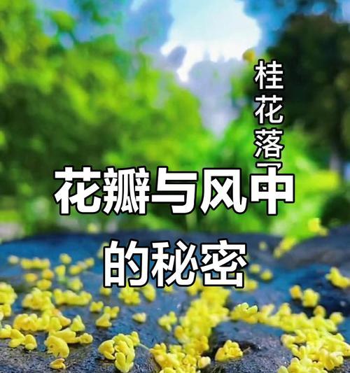 花朵飘散所代表的含义是什么？