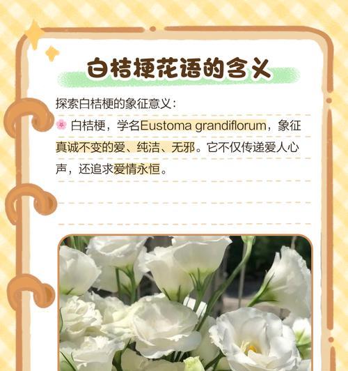 桔梗花的含义有哪些？