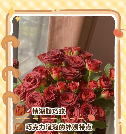 泡泡玫瑰花语是什么？泡泡玫瑰代表了哪些寓意？