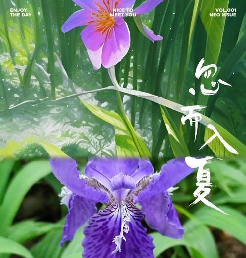 各种吉利的花有什么寓意？常见吉祥花卉的花语是什么？