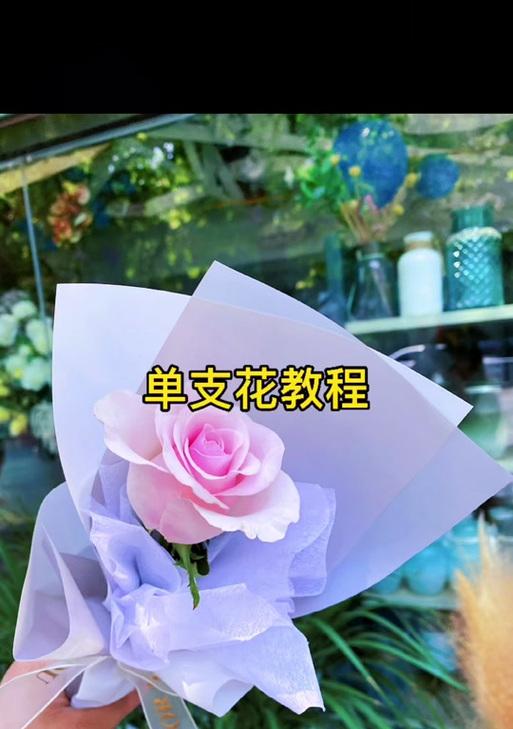 壁柱花的含义是什么？