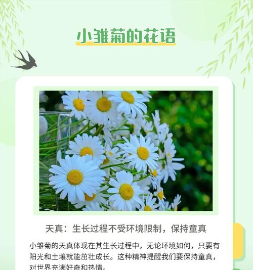 花骨朵的寓意是什么？它象征着什么？