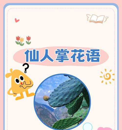 花的花语大全是什么？花的寓意有哪些？
