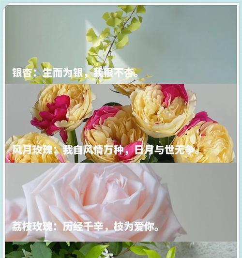银杏花花语含义与象征意义