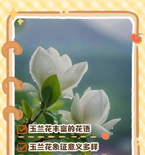 银杏花花语含义与象征意义
