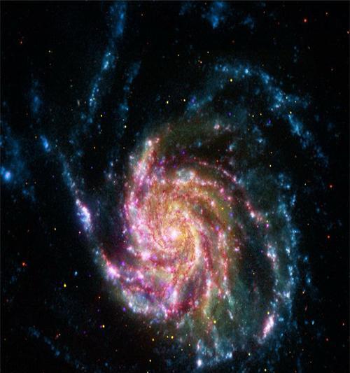 花的象征的宇宙有哪些？这些宇宙的象征意义是什么？