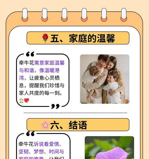 象征家庭和温馨的花是什么？其花语有哪些？
