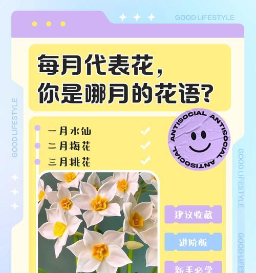 11朵花代表什么含义？12朵花的花语是什么？