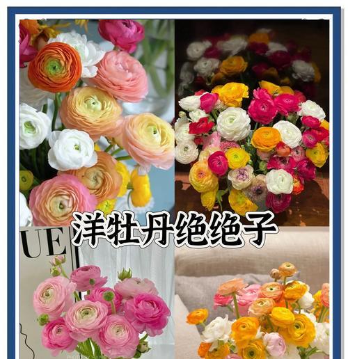 铃南花的寓意是什么？铃南花象征着什么？