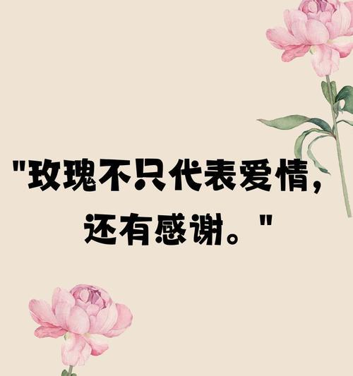 花语代表爱的花有哪些？