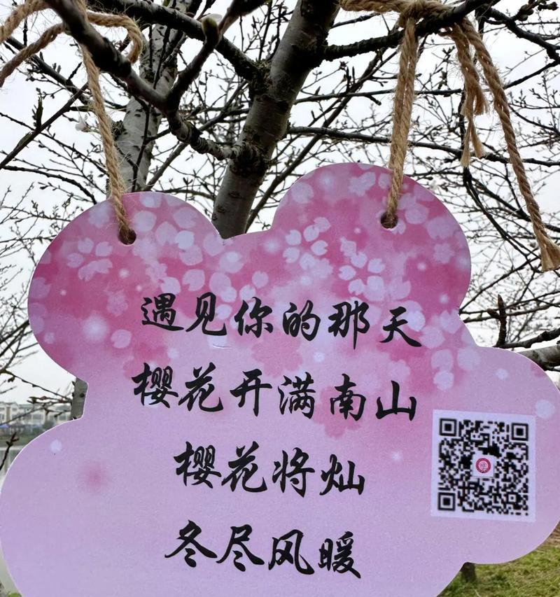 白樱花的花语是什么？它象征着怎样的情感？