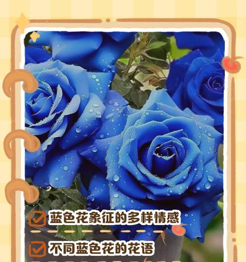 妖姬花语是什么意思？妖姬花代表了哪些含义？