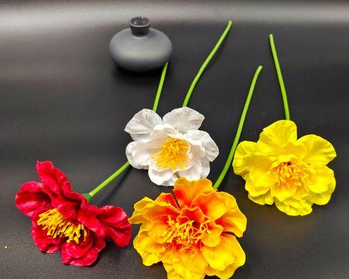 永生花代表的永恒情感是什么？