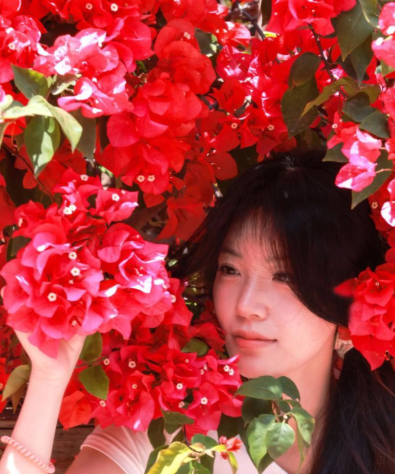 三角梅花语是什么意思？三角梅象征着什么？
