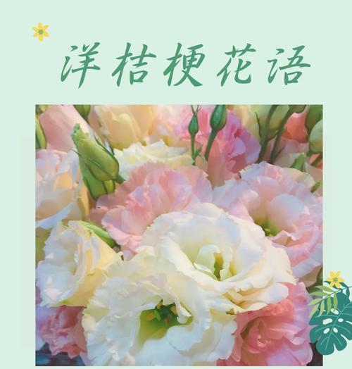 桔梗花的花语含义是什么？它代表了哪些情感？