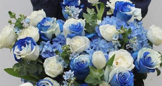 蓝白相间的花代表什么含义？蓝白花色组合的花语解读是什么？