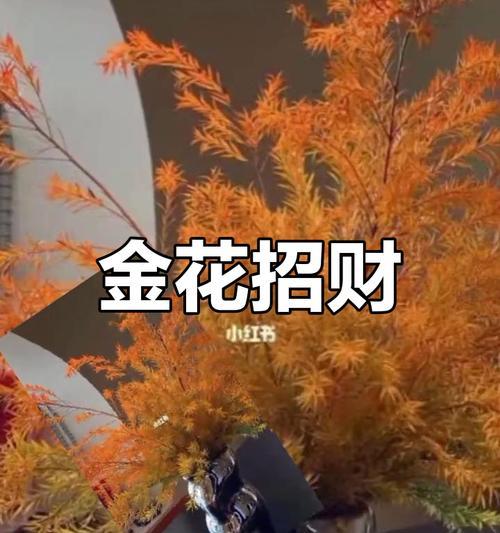 财富和好运的花卉象征是什么？选择带来财富的花