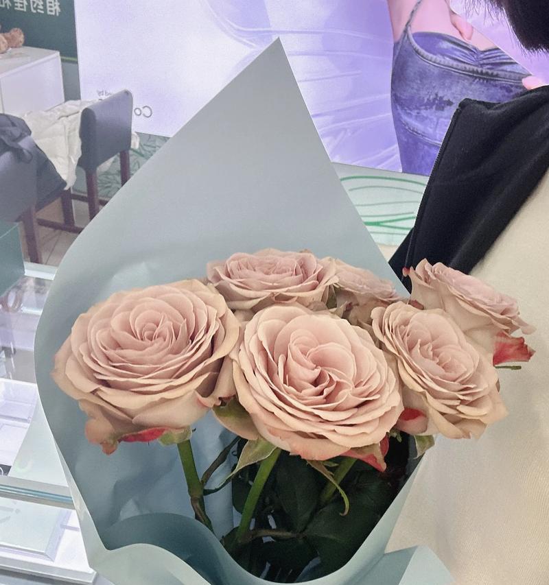 象征开端的花有哪些？它们的含义是什么？