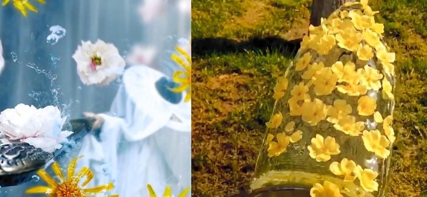 泼花这一行为的含义是什么？它在不同文化中的解释是什么？
