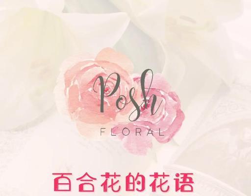 百合花花语是什么？百合花象征了什么寓意？