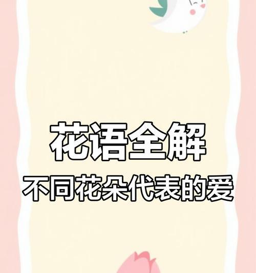 生日送花花语含义与选择指南是什么？