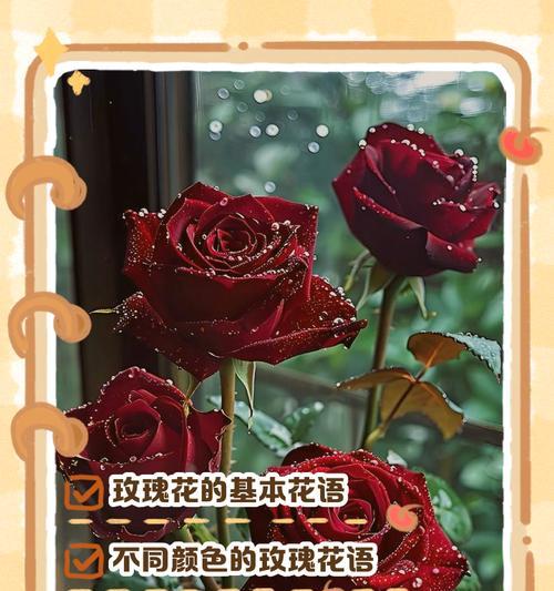 送恋人花有哪些寓意和花语？它们如何表达爱意？