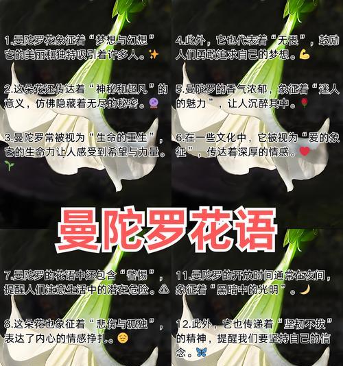 生日花卉的花语含义是什么？如何选择生日花卉？