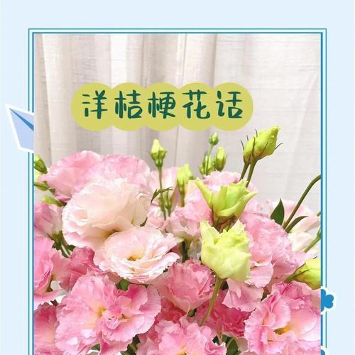 桔梗花的传统意义是什么？桔梗花象征着什么？