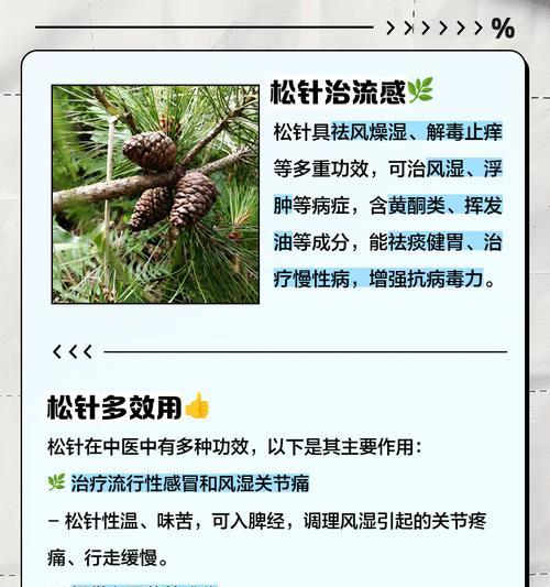 松针花的寓意有何深意？