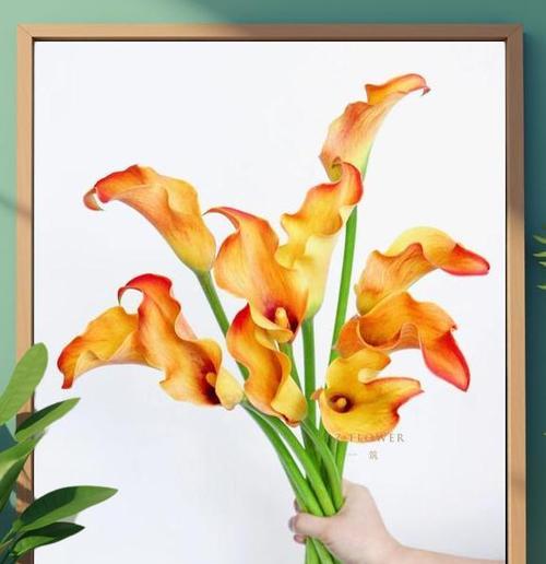 遗憾错过的花语是什么花？如何正确表达？