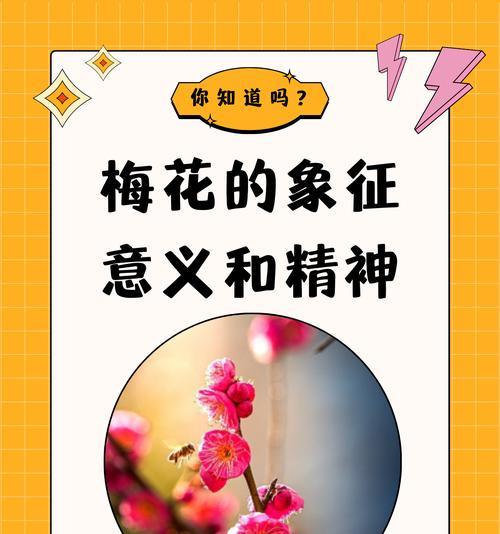 白色花朵象征着什么？它们在不同文化中的含义是什么？