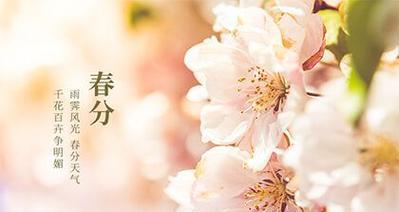 水田花的含义是什么？水田花在自然界中的作用和意义是什么？