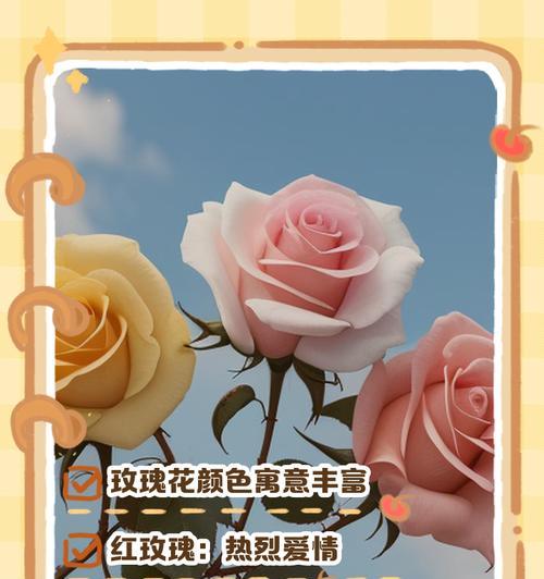 七彩花海，领略不同色彩的玫瑰花语（用花语品味不同色彩的玫瑰）