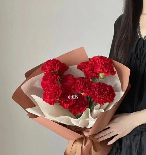 粉红康乃馨的象征意义（探究粉红康乃馨背后的含义及象征）