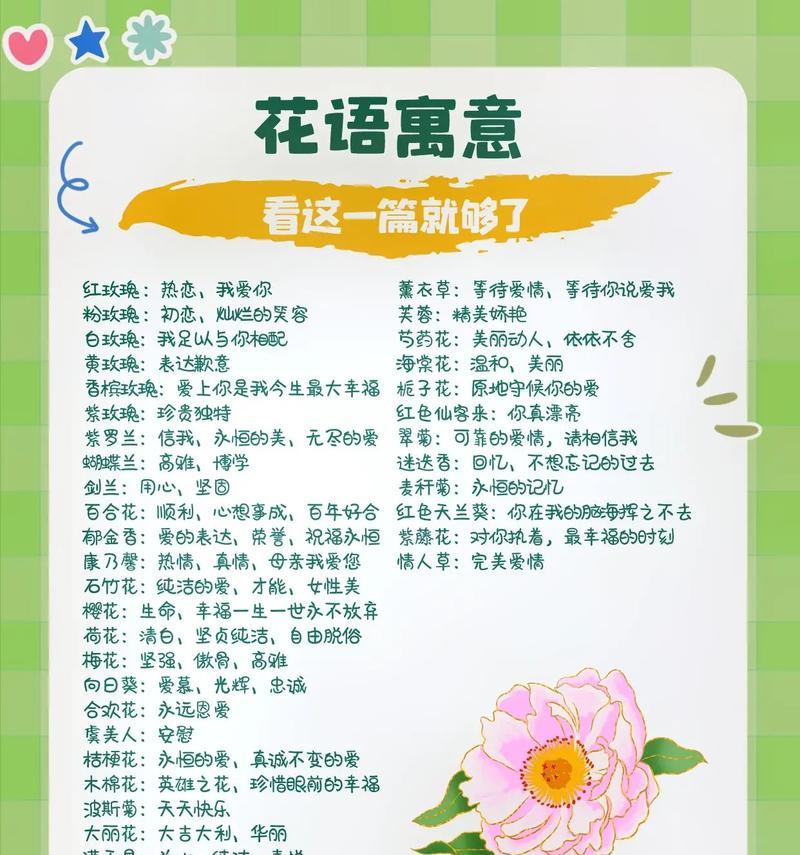 以香石竹的花语及其寓意（解读以香石竹的花语，传达爱、美与祝福）