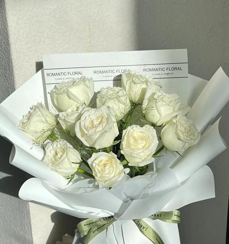 白玫瑰花语与适宜赠送的对象（白玫瑰的深刻含义和赠送建议）