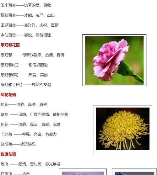 荼蘼花的花语和象征（揭示荼蘼花的深刻内涵及寓意）