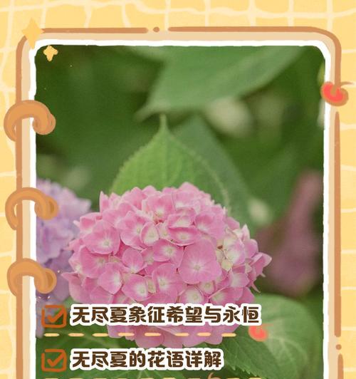 马蹄莲（探秘马蹄莲的花语和传说，解读大自然的奇妙之美）