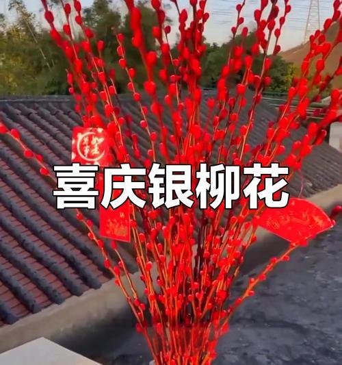 春节花代表什么意思？春节花的寓意有哪些？