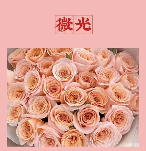 浅粉色花的寓意和花语是什么？