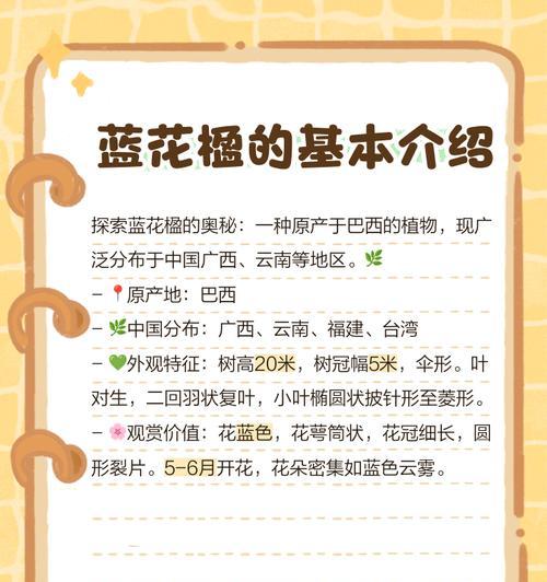 蓝花楹通常代表怎样的爱情寓意？