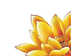 金色的花象征什么？它的意义是什么？