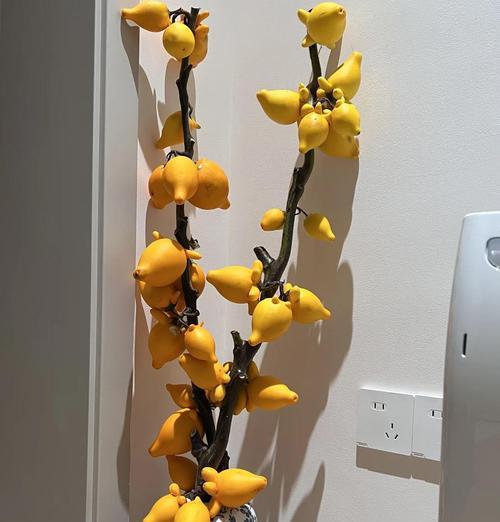不同颜色的假花寓意是否相同？它们的含义是什么？