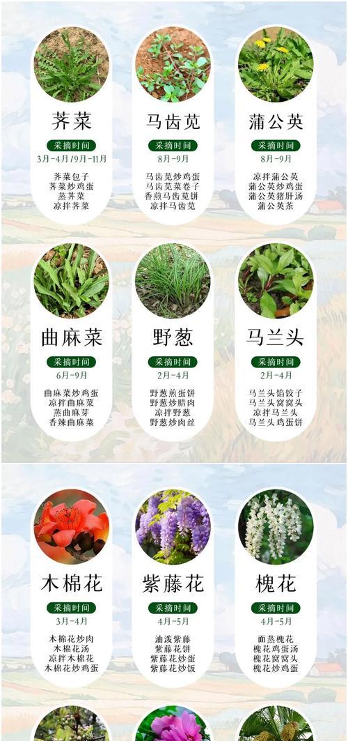 哪种野菜象征爱情？象征爱情的花有哪些选择？