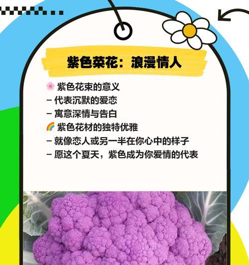 哪种野菜象征爱情？象征爱情的花有哪些选择？