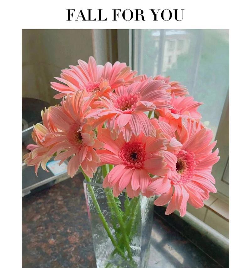 粉色手捧花传递什么信息？粉色手捧花的花语是什么？