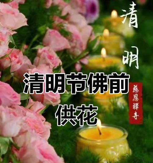 花的寓意祈福是什么？