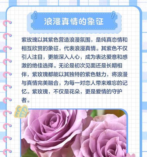 蓝紫色玫瑰花代表什么？蓝紫色玫瑰的深层含义是什么？