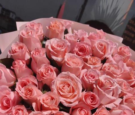 粉红色玫瑰花的花语是什么？送粉红色玫瑰有何寓意？