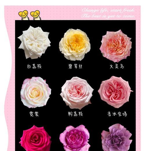 母亲节送四支玫瑰花有何深意？